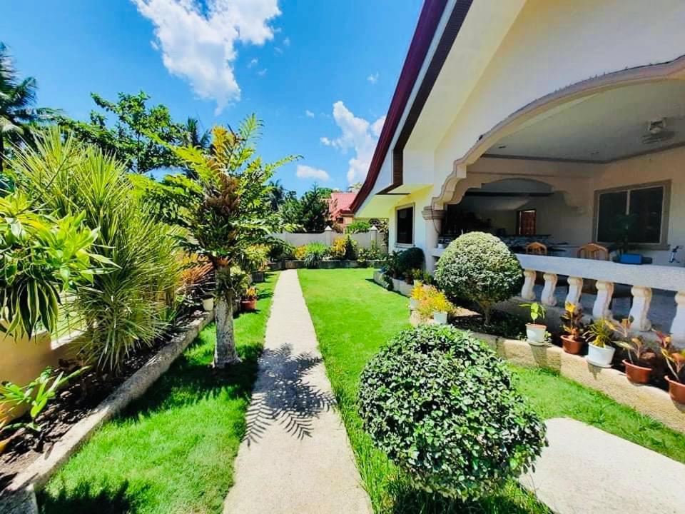 Dreamcatcher Hostel Моалбоал Экстерьер фото